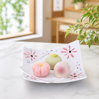 Onbreekbare, vaatwasmachinebestendige, Japanse stijl A5 restaurant serveerschalen, vierkante sushi melamine borden