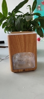 Lampe de sel de l'Himalaya 2022, grain de bois, sculptée à la main, sel naturel thérapeutique, lampes en cristal de roche, humidificateur à brume fraîche, hôtel, maison