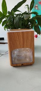 2022 Humidificateur d'air Offre Spéciale himalaya Lampe De Sel grain de Bois Sculpté à la main Naturelle Thérapeutique Sel De Cristal De Roche Lampes Humidificateur - Product Image 2