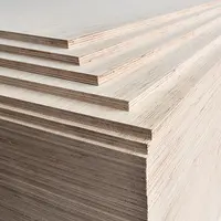 Okume/Bintangor/Pino/abedul/madera contrachapada de álamo, muebles de 3mm, 6mm, 9mm, 12mm, 15mm, 18mm y 25mm, precio competitivo
