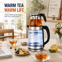 Bouilloire électrique 2,2 L, théière en verre 0,3 L, motif vague, théière turque avec infuseur, filtre en acier inoxydable, prise EU