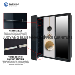 Tủ quần áo thép bán buôn, tủ quần áo kim loại phòng ngủ, nhà cung cấp tủ quần áo Trung Quốc, tủ đựng quần áo bằng thép có gương - Product Image 2