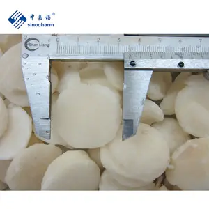Sinocharm HACCP HeihuIQF水栗卸売価格バルク10kg冷凍水栗スライス