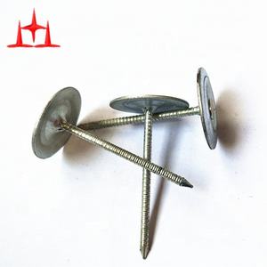 22.68kg en vrac 3/<span class=keywords><strong>4</strong></span> "12-Gauge électro galvanisé bouchon rond en métal clous anneau tige - Product Image 6