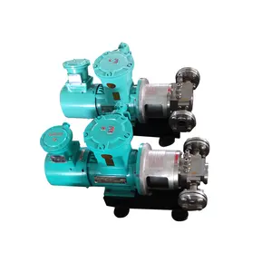 Petroleum Industrial Positive Displacement Pump High Pressure Centrifugal Magnetic Drive Gear Pump