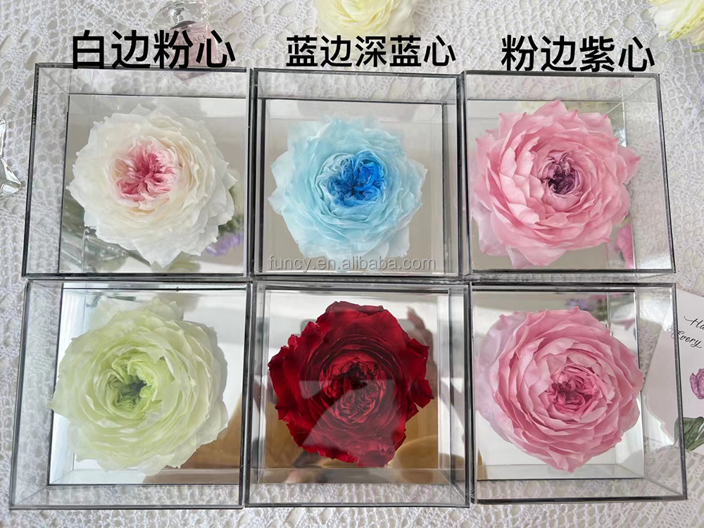 6 colores en la imagen