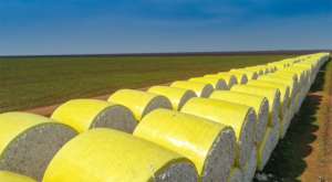 <span class=keywords><strong>Film</strong></span> d'emballage auto-adhésif pour balles de coton pour moissonneuses-batteuses CP770 CP690 – <span class=keywords><strong>Film</strong></span> de protection agricole - Product Image 3