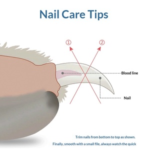 एलईडी लाइट रिचार्जेबल बैटरी तेज ब्लेड के साथ बिल्लियों और कुत्तों के लिए पालतू नाखून क्लिपर्स-कोई ब्रांड मॉडल शुरू करने के लिए आसान नहीं XY-76 - Product Image 3