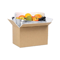 48-72h Cajas de envío congeladas Caja de cartón de aluminio térmico grande Embalaje para envío Cartón corrugado Relieve Laminación mate