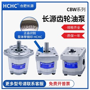 Pompe à engrenages HCHC Hefei Changyuan avec accouplement de pompe à moteur CLP, modèles CBW-F304/306/310/316/320 - Product Image 4