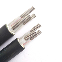 YJLV NA2XH2Z XHHW-2 NAYFGY noyau en aluminium câble d'alimentation basse tension PVC XPLE usage industriel 0.6/1kV 1*2.5-10mm personnalisable
