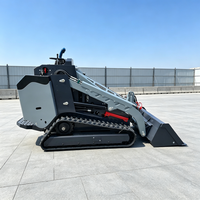 Professioneller Hydraulischer Kompaktlader mit Effizienter Materialhandhabung für Hofarbeiten