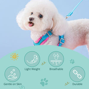 Sumber penjualan langsung dari pabrik S XS sangat kecil tahan debu tali anjing mudah berjalan nilon empuk lembut <span class=keywords><strong>Harness</strong></span> anjing - Product Image 2