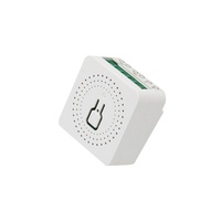 Receptor Universal Tuya de 2 Canales YET478WTR, Apto para Puertas, Ventanas, Portones y Luces LED
