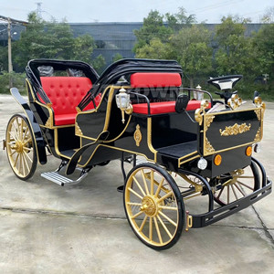 Carruaje de caballos de estilo vintage para recorridos por ciudades antiguas, fotografía de bodas y proyectos de turismo cultural característico. - Product Image 1