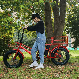Consegna <span class=keywords><strong>bicicletta</strong></span> <span class=keywords><strong>elettrica</strong></span> con cestini anteriori e posteriori bici da carico <span class=keywords><strong>per</strong></span> pneumatici grassi da 20 pollici con doppia batteria - Product Image 3