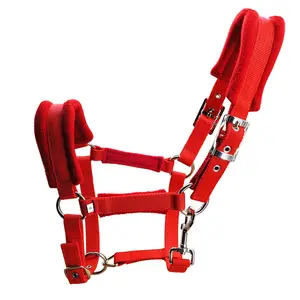 Kleur Paard Hoofdstel 25Mm Breedte Legering Vernikkelde Metalen Gesp Paard Hoofdstel Paardensport Harnas Benodigdheden