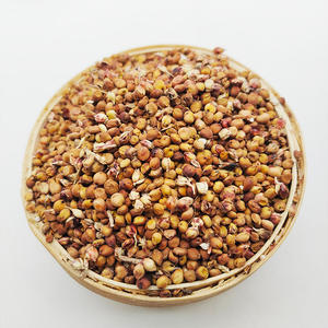 מפעל ישירות למכור ליאנגטי ליבשים באיכות פרימיום גבוהה natual <span class=keywords><strong>sorghum</strong></span> אדום עם המחיר הטוב ביותר - Product Image 6