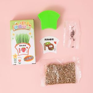 Mini Kit de Plantas en Maceta, Caja Sorpresa, Kit Educativo para Niños, Observación de Germinación de Semillas, Manualidades, Regalo para Tareas Escolares - Product Image 3