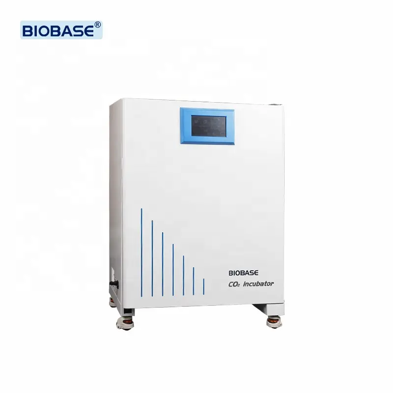 BIOBASE inkubator CO2 jaket udara 50L, kontrol temperatur mikro BJPX-C50 dengan tampilan LED