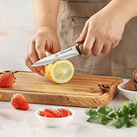 Ensemble de 4 couteaux à éplucher Little Cook, couteaux utilitaires et à fruits avec étuis, lames super affûtées et manches antidérapants colorés pour la maison