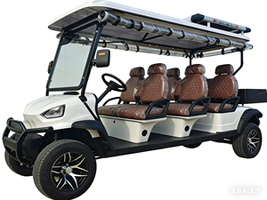 Voitures de golf électriques tout-terrain neuves à 6 places, bleues, avec compteur professionnel, batterie au lithium - Product Image 2