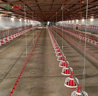 Équipement d'alimentation pour volailles U-Best : Nouveaux abreuvoirs automatiques et mangeoires automatiques pour poulets