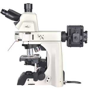 Optique trinoculaire de recherche biologique BestScope BS-2081L à champ super large pour laboratoire de pathologie et de cytologie - Product Image 3