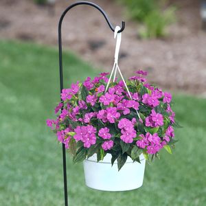 Ramo <span class=keywords><strong>de</strong></span> flores artificiales <span class=keywords><strong>Impatiens</strong></span> para exteriores, flores <span class=keywords><strong>de</strong></span> imitación <span class=keywords><strong>de</strong></span> seda para exteriores, decoración <span class=keywords><strong>de</strong></span> plantas <span class=keywords><strong>Impatiens</strong></span> para exteriores, jardineras <span class=keywords><strong>de</strong></span> interior - Product Image 2