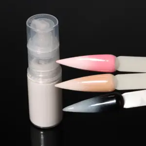 2024 Wholesale Price New Arrival Nail Painting Pigments Powder Wholesale Amazing Gradient Effect Ombre Spray For Nail Art