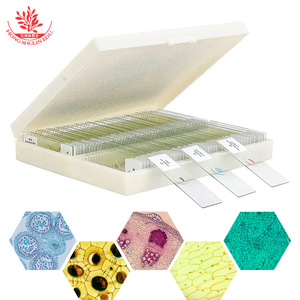 Juego de 100 Portaobjetos con Especímenes de Plantas para Estudiantes de Primaria y Secundaria: Estructuras Típicas, Color Rojo Zafiro Claro y Verde Rápido - Product Image 5
