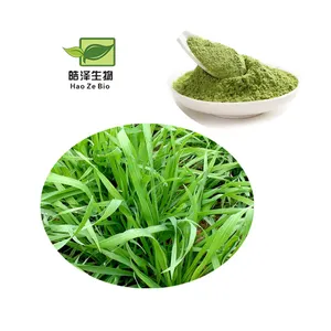 Высококлассный супер зеленый экстракт травы ячменя порошок травы ячменя для суперпродуктов