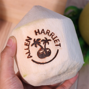 Noix de coco fruits fer timbre plage marque laiton timbre OEM personnalisé bricolage personnaliser cadeau maison cuisine outils et timbre - Product Image 6