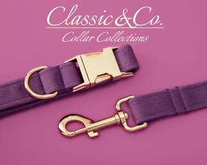 Personalized With Engraved Pet Name Metal Buckle,Purple Veet <b>Dog</b> <b>Collar</b> And Leash Set With Bell And Bow,Free Shipping - Product Image 4