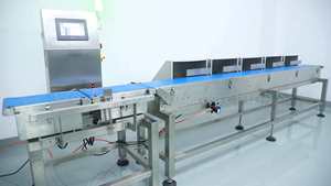 Báscula Electrónica con Cinta Transportadora para Clasificar y Calibrar en Peso Patatas, Pescado y Pollos - Product Image 2