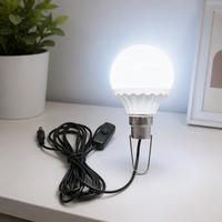 Ampoule LED DC5V pour usage extérieur avec câble de 2,8 m, prise DC5521, interrupteur marche/arrêt, crochet métallique pour un accrochage facile, IRC 80, 3000K/6500K