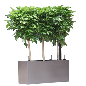 Maceta y macetas grandes y altas de Venta caliente, maceta rectangular para plantas de flores para jardín y patio, moderna () - Product Image 1