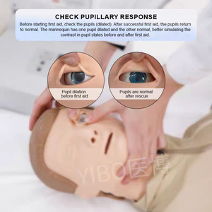 Maniquí <span class=keywords><strong>de</strong></span> RCP <span class=keywords><strong>de</strong></span> PVC <span class=keywords><strong>de</strong></span> Medio Cuerpo con Computadora Avanzada ADA BIX/CPR260, Ciencia Médica para Entrenamiento <span class=keywords><strong>de</strong></span> Enfermeras, Modelo <span class=keywords><strong>de</strong></span> Primeros Auxilios para Escuelas - Product Image 3