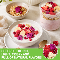 SAIYANG Bulk Gedroogd Gemengd Fruit Frambozen Cranberries Bananen Dragon Gedroogd Fruit Snacks Groothandel 100g Verpakking