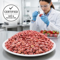 Graad A Halal IQF Diepvries Aardbeien Groothandel |   100% natuurlijke, verse, diepvries aardbeien voor jam & smoothies