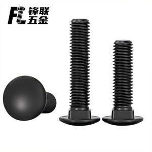 Boulons à tête cylindrique Fenglian en acier inoxydable 304 M3 M4 M5 M6 M8 M10 entièrement filetés, oxydation noire, pour l'industrie de la construction - Product Image 3