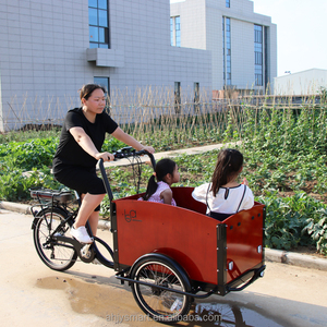 Vélo cargo électrique néerlandais vélo <span class=keywords><strong>à</strong></span> <span class=keywords><strong>trois</strong></span> <span class=keywords><strong>roues</strong></span> vélo motorisé vélo cargo pour chien motos d'<span class=keywords><strong>occasion</strong></span> - Product Image 2