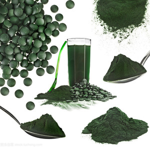 Poudre de <span class=keywords><strong>chlorella</strong></span> organique à haute teneur en protéines d'usine ISO poudre de <span class=keywords><strong>chlorella</strong></span> vulgaris service OEM - Product Image 6