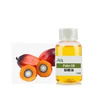 Baolin Private Label factory olio di palma grezzo prezzo vitamina a palmitato cosmetico spremuto a freddo olio di frutta vendita olio da cucina di palma