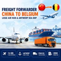Seefrachtraten Shenzhen Speditionsunternehmen Logistikagent DDP China nach USA Europa UK Kanada/USA/Deutschland/Europa Service