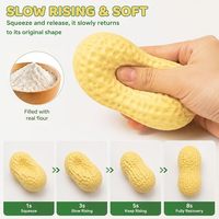 Squishies en forme d'arachide, jouet à presser doux à remontée lente, adorable jouet anti-stress en forme d'arachide, cadeau fantaisie