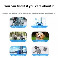 Localisateur universel transfrontalier pour animaux de compagnie Airtag GPS Dispositif anti-perte Réseau 4G IP67 GPS en plastique Traqueur pour animaux de compagnie