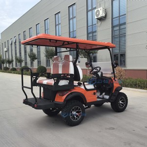 Carritos de golf eléctricos de 1+1 plazas, directo de fábrica, se venden a precios bajos. Transporte especial / Vehículo eléctrico / Golf eléctrico - Product Image 6