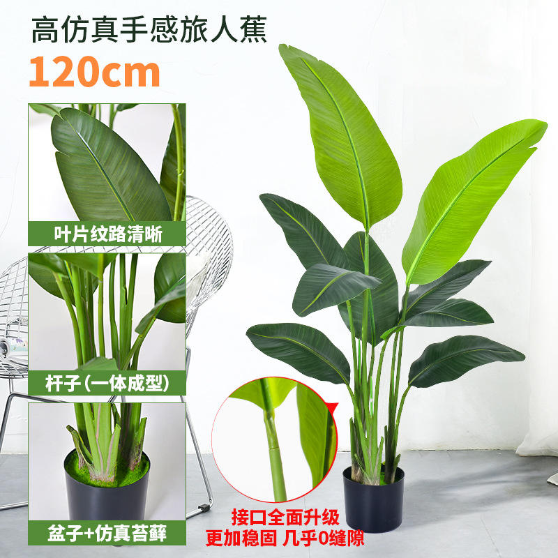 120cm traveler banana (9 leaves) green