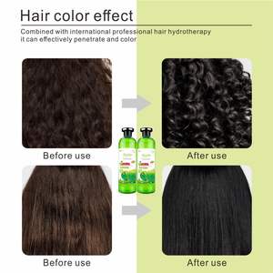 オリジナル工場製アップルブラックヘアカラージェル500ML*2、ハーブエキス配合、永久染毛ジェル、長持ちするヘアカラー96 - Product Image 5